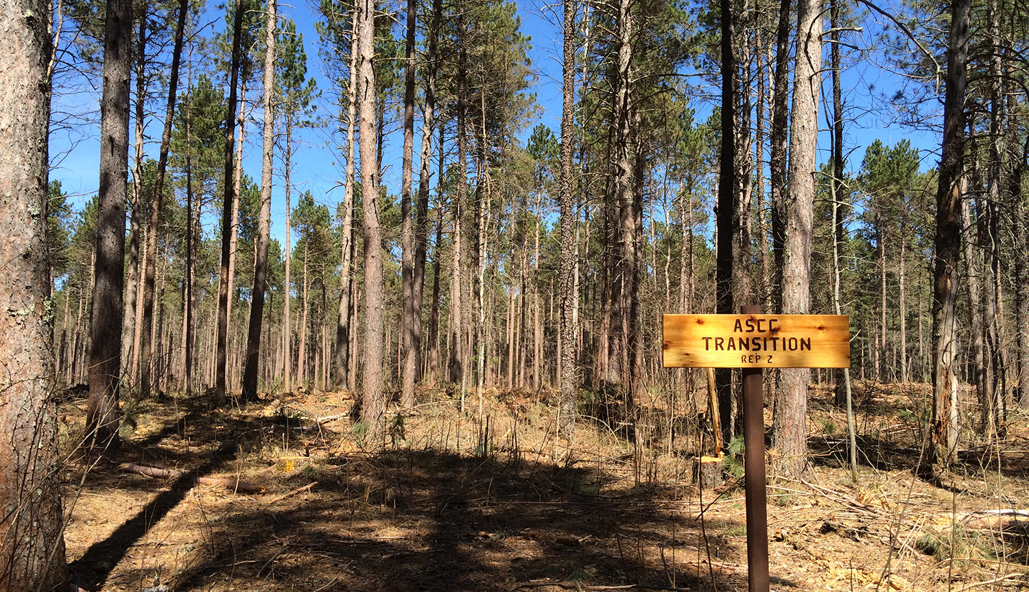 Photograph of a forest of conifers. A sign reads “ASCC TRANSITION.”