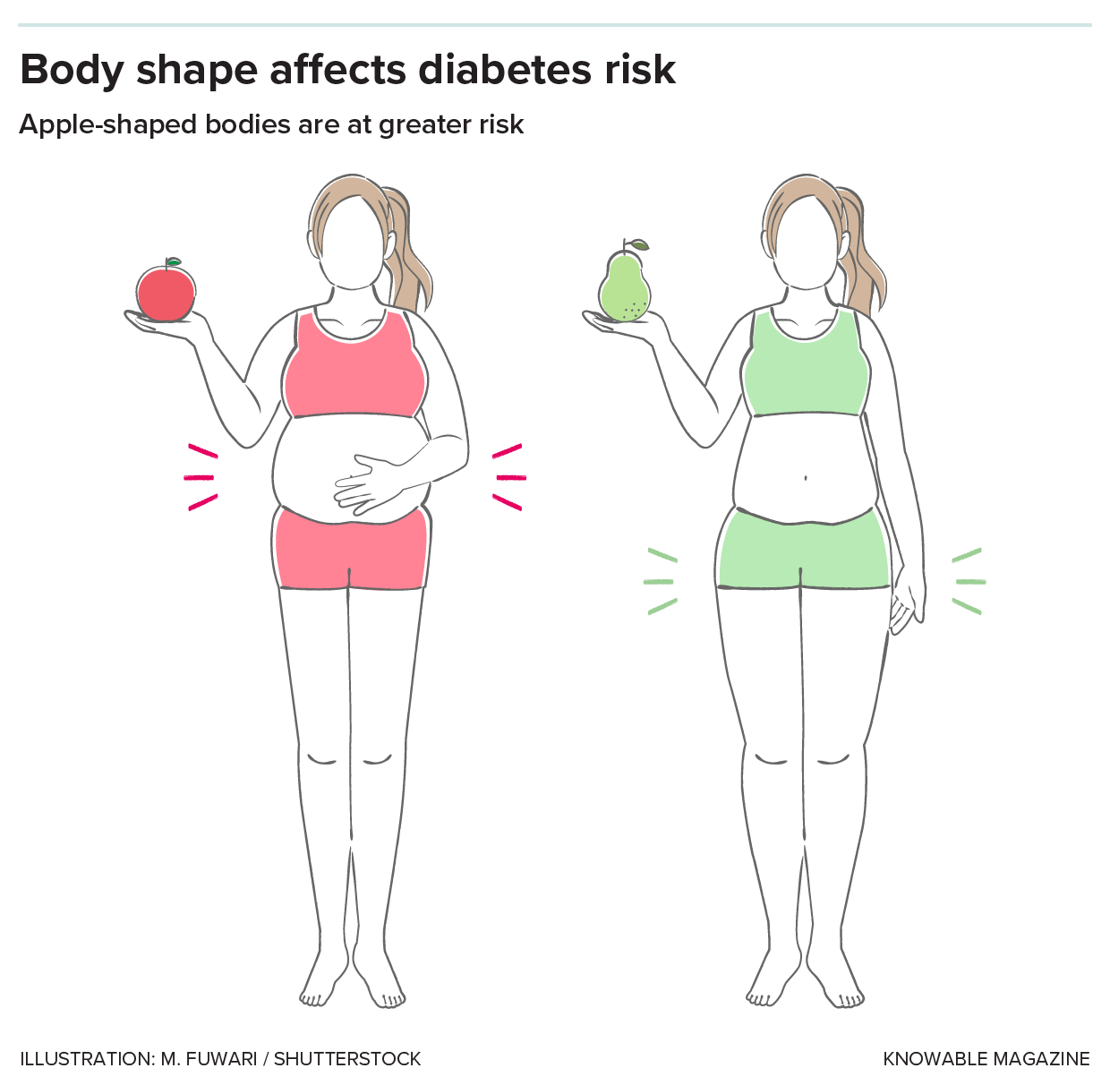 Illustration shows two women, one with abdominal fat and the other with subcutaneous fat.