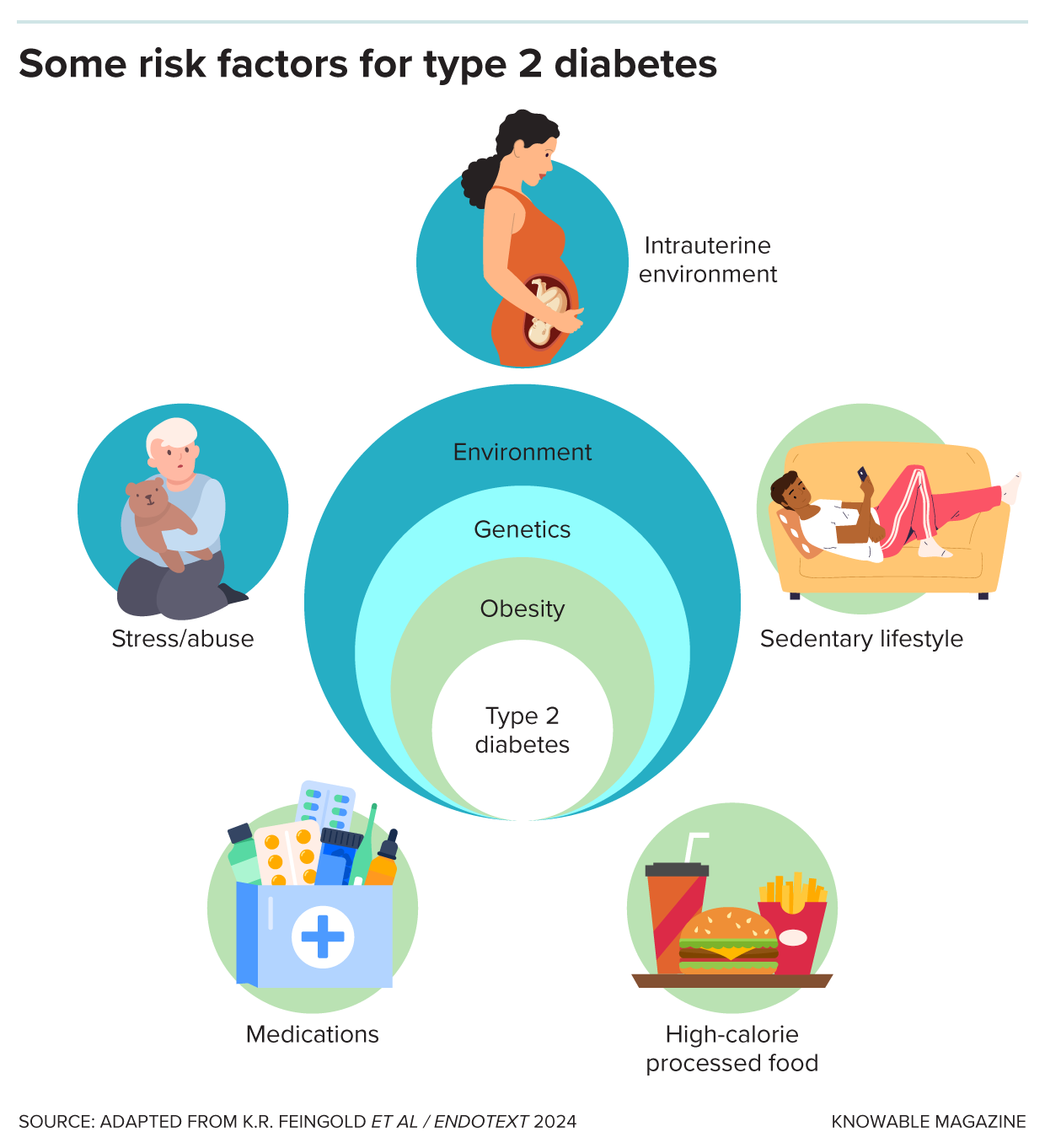 Illustration shows some of the risk factors for type 2 diabetes.