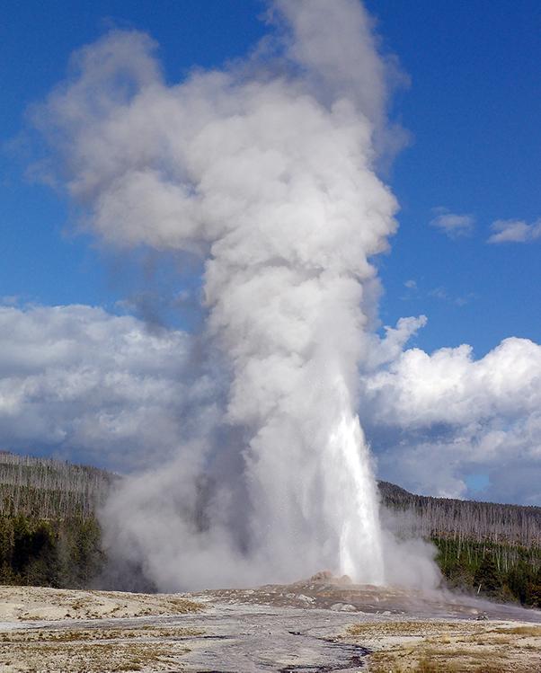 Old Faithful geyser in Yellowstone National Park