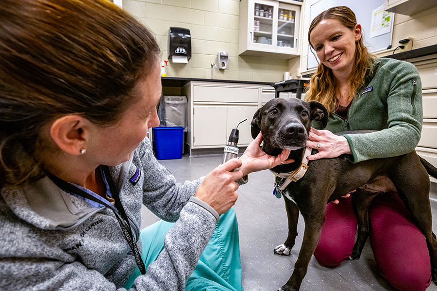 Photo of two women and a black and white dog. One woman is holding the dog while the second is examining the dog.