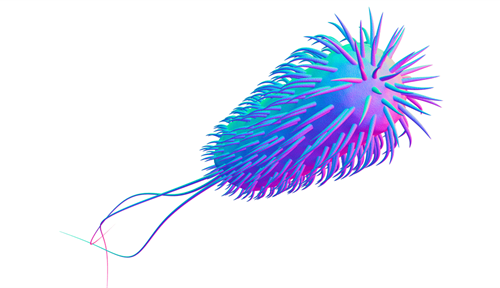 Illustration shows an E. coli bacterium with its long flagellum and pili that help it steer through its environment.