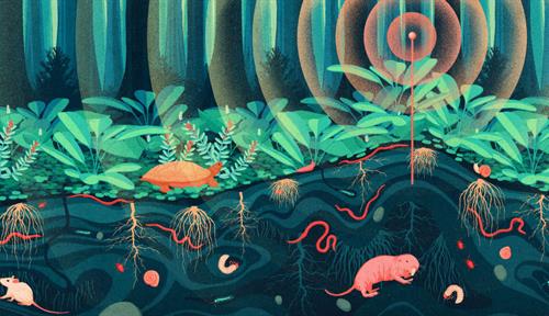 Conceptual illustration shows a subterranean scene with creatures and roots in the soil. A vibration sensor is stuck in the ground.