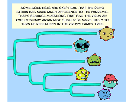 Comic-style illustration: Virus phylogeny with points showing repeated emergence of similar mutations. Text: Some scientists are skeptical that D614G strain has made much difference to the pandemic. That’s because mutations that give the virus an evolutionary advantage should be more likely to turn up repeatedly in the virus’s family tree.