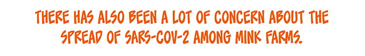 Text: There has also been a lot of concern about the spread of SARS-CoV-2 among mink farms. 